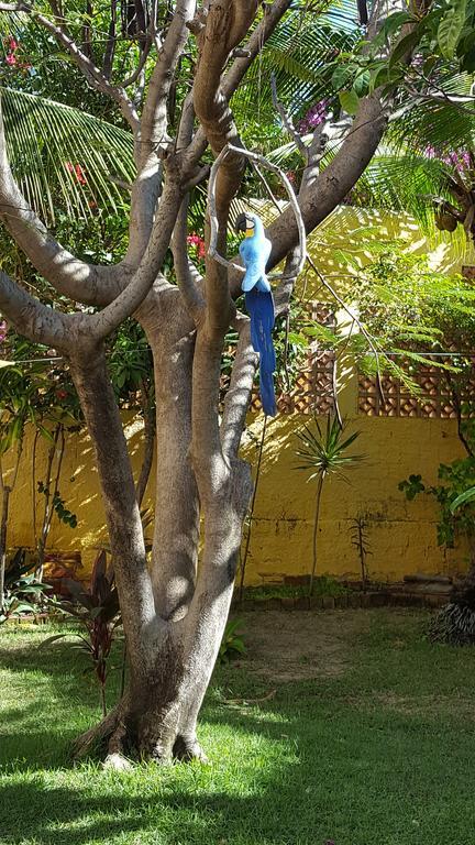 Pousada Agua Marinha Canoa Quebrada Zewnętrze zdjęcie